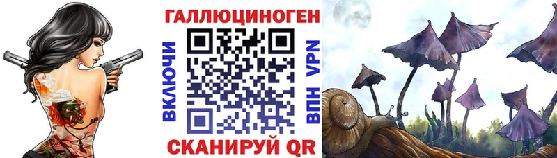 Галлюциногенные грибы Cubensis  Купить где  Новосибирск 